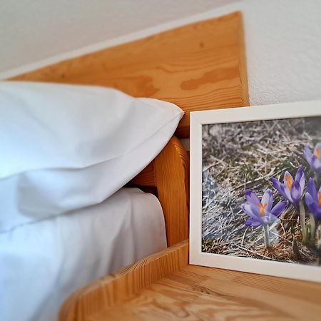Przy Szlaku Zakopane Centrum Pokoje & Apartamenty Dış mekan fotoğraf