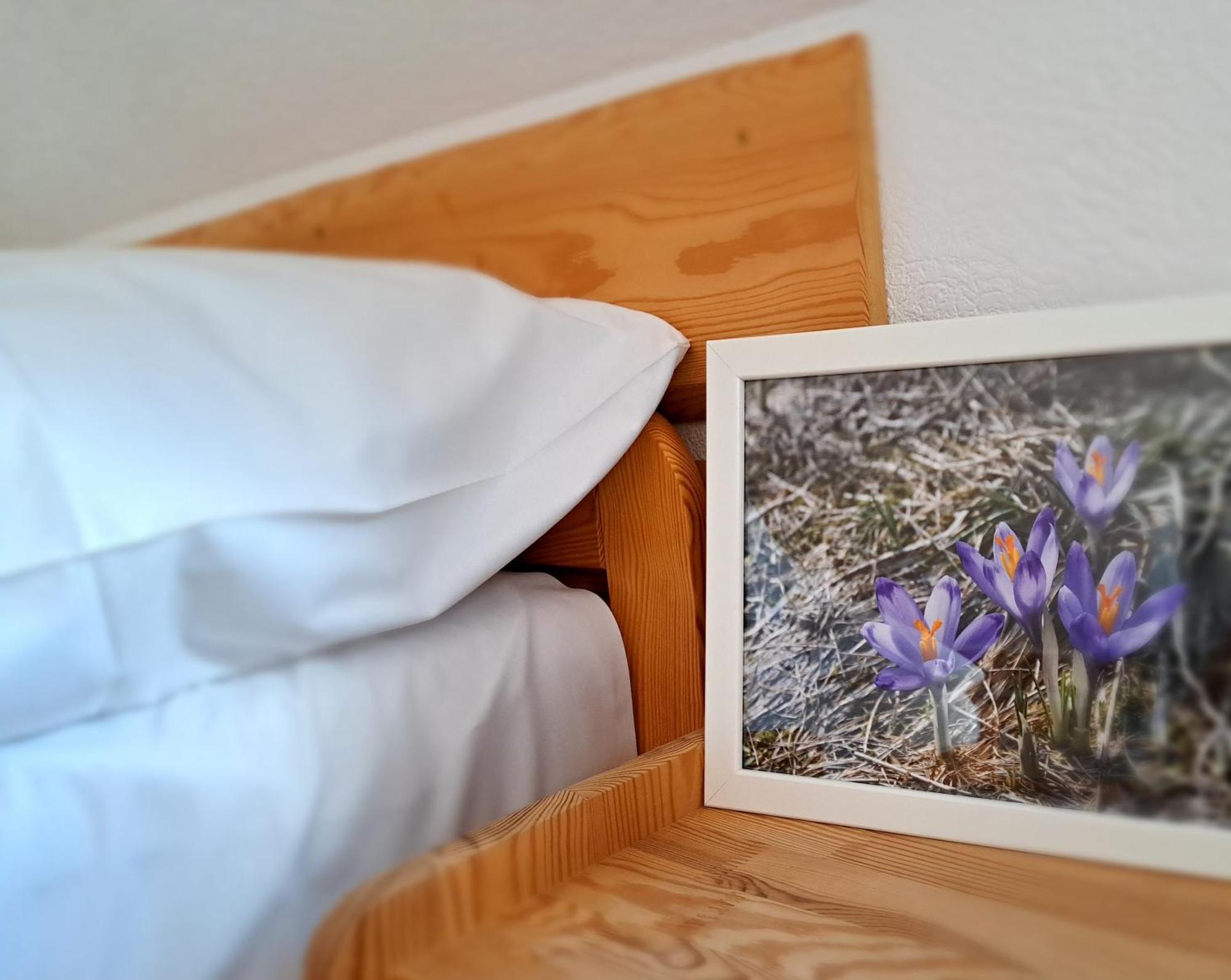 Przy Szlaku Zakopane Centrum Pokoje & Apartamenty Dış mekan fotoğraf