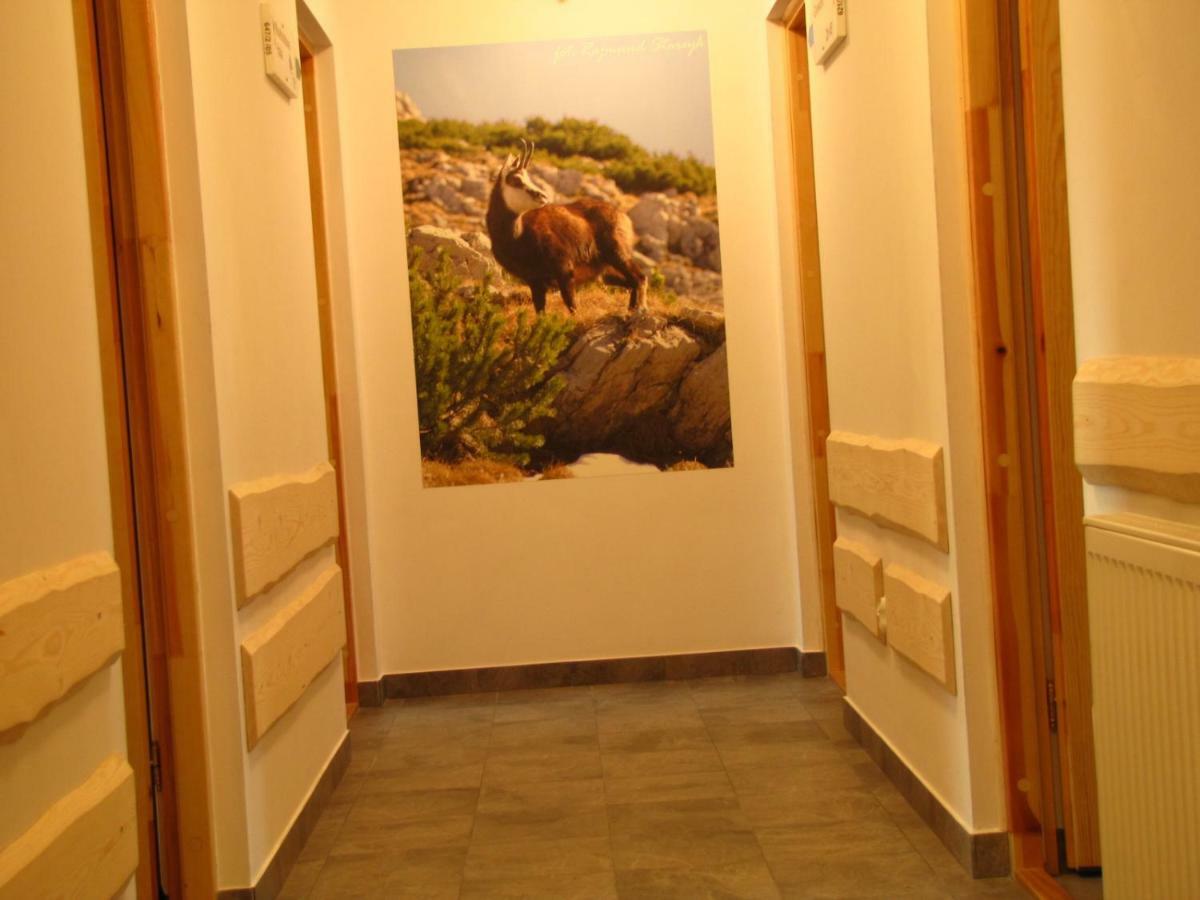 Przy Szlaku Zakopane Centrum Pokoje & Apartamenty Dış mekan fotoğraf